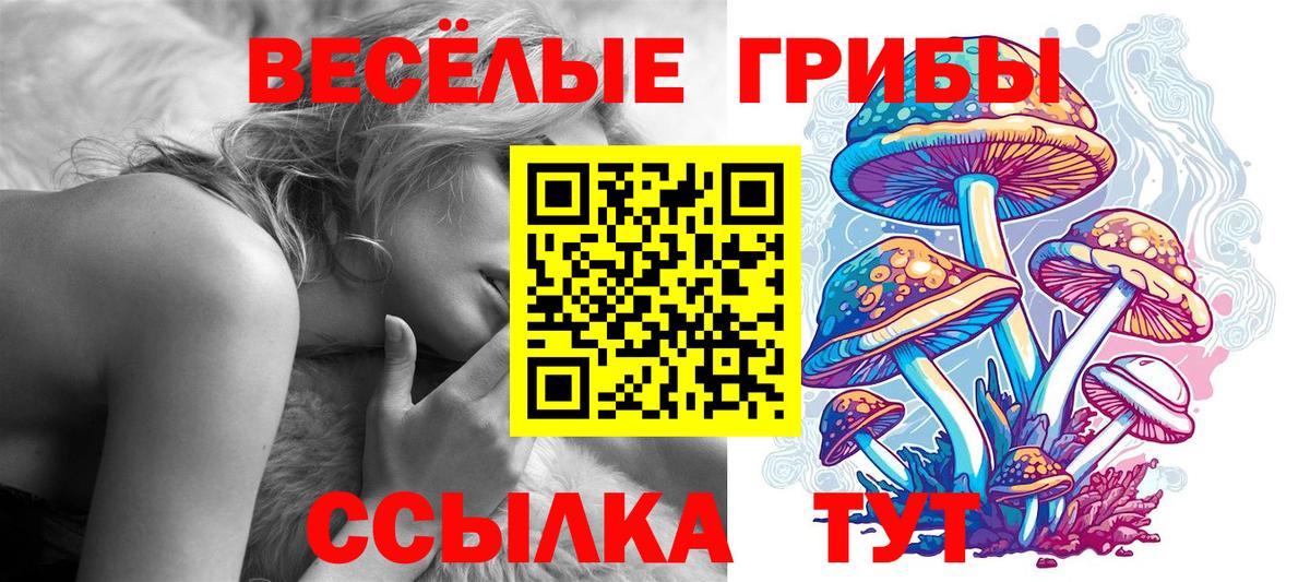 Псилоцибиновые грибы ЛСД Десногорск